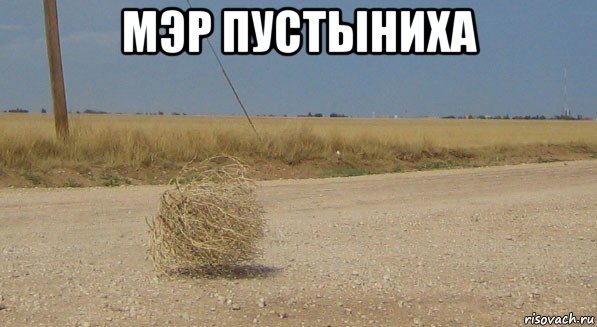 мэр пустыниха , Мем перекати-поле одиночество