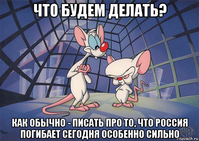 что будем делать? как обычно - писать про то, что россия погибает сегодня особенно сильно, Мем ПИНКИ И БРЕЙН