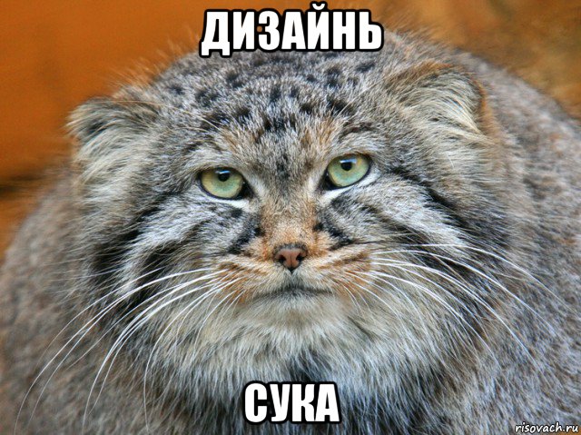 дизайнь сука