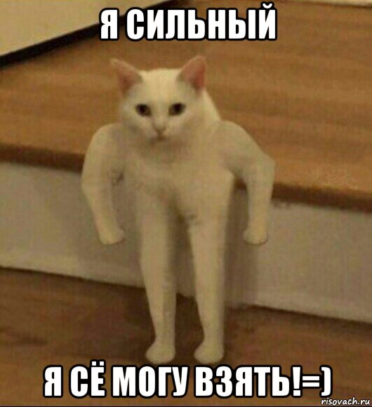 я сильный я сё могу взять!=), Мем  Полукот