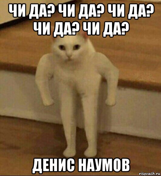 чи да? чи да? чи да? чи да? чи да? денис наумов, Мем  Полукот