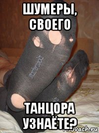 шумеры, своего танцора узнаёте?, Мем Порошенко рваные носки