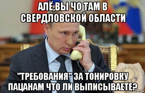 алё,вы чо там в свердловской области "требования" за тонировку пацанам что ли выписываете?, Мем Путин звонит