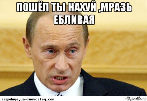 пошёл ты нахуй ,мразь ебливая , Мем  Путин