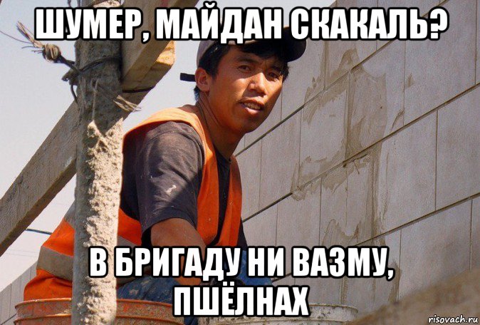 шумер, майдан скакаль? в бригаду ни вазму, пшёлнах