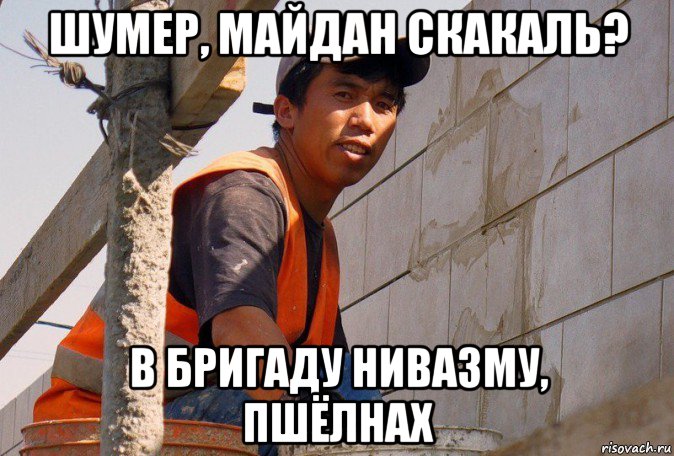 шумер, майдан скакаль? в бригаду нивазму, пшёлнах