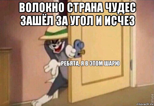 волокно страна чудес зашёл за угол и исчез , Мем    Ребята я в этом шарю