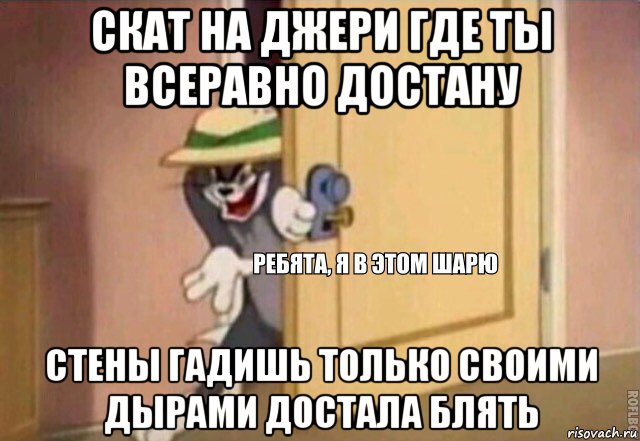 скат на джери где ты всеравно достану стены гадишь только своими дырами достала блять, Мем    Ребята я в этом шарю