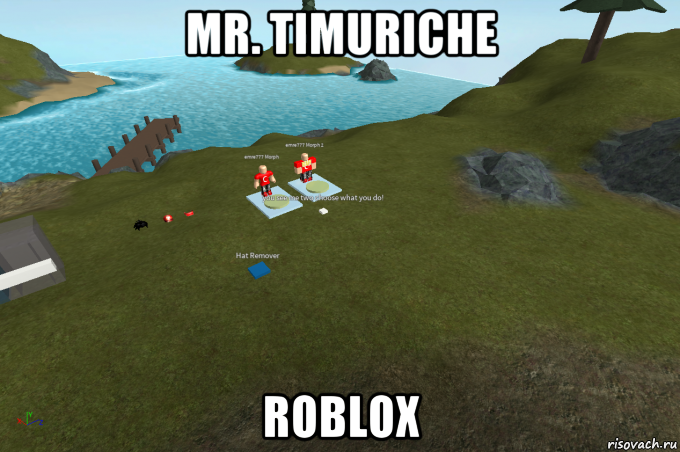 mr. timuriche roblox, Мем Roblox