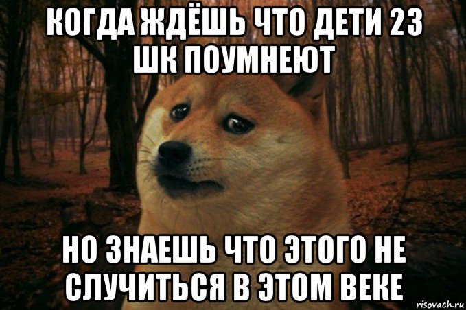 когда ждёшь что дети 23 шк поумнеют но знаешь что этого не случиться в этом веке, Мем SAD DOGE