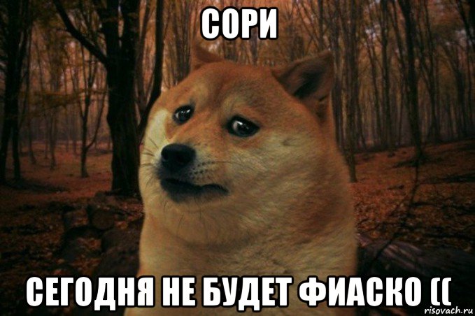 сори сегодня не будет фиаско ((, Мем SAD DOGE