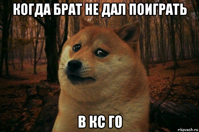 когда брат не дал поиграть в кс го, Мем SAD DOGE