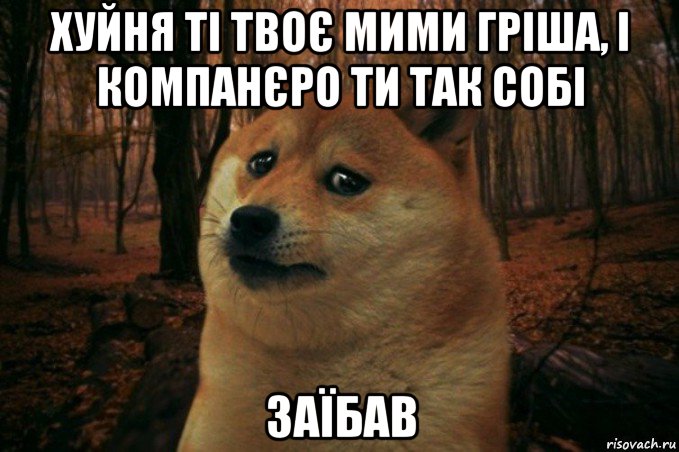 хуйня ті твоє мими гріша, і компанєро ти так собі заїбав, Мем SAD DOGE