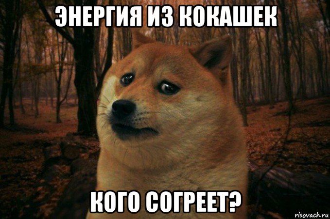 энергия из кокашек кого согреет?, Мем SAD DOGE