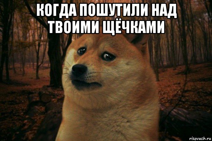 когда пошутили над твоими щёчками , Мем SAD DOGE