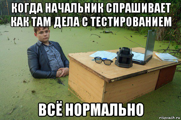 когда начальник спрашивает как там дела с тестированием всё нормально