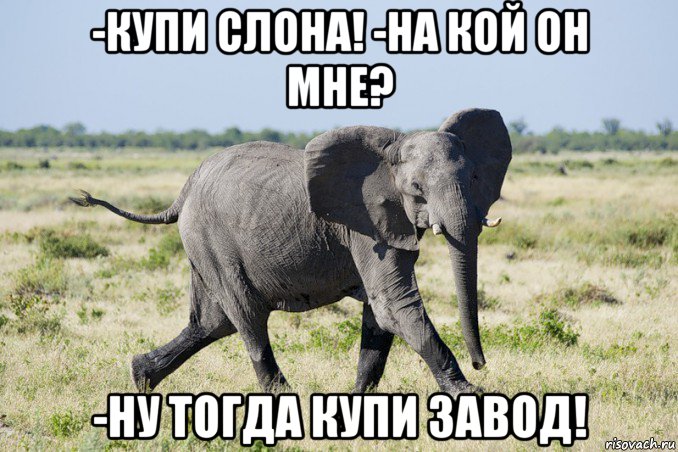 -купи слона! -на кой он мне? -ну тогда купи завод!, Мем Слон бежит