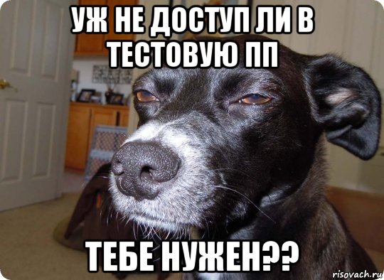 уж не доступ ли в тестовую пп тебе нужен??