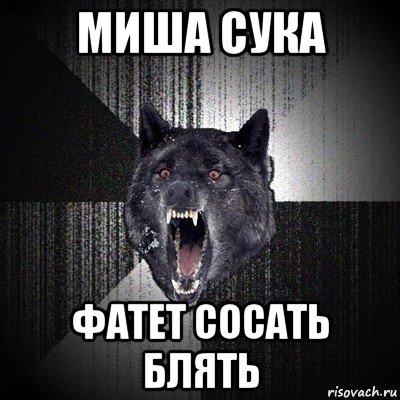 миша сука фатет сосать блять, Мем Сумасшедший волк