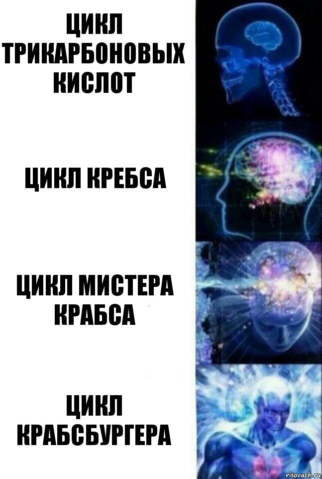 Цикл Трикарбоновых кислот Цикл Кребса Цикл мистера Крабса Цикл Крабсбургера, Комикс  Сверхразум