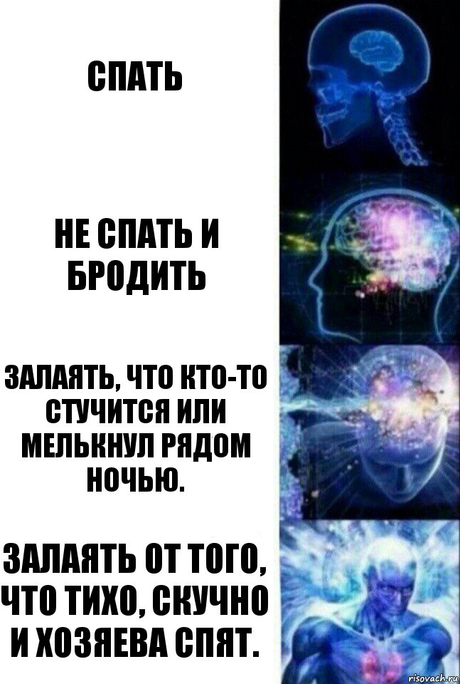 Спать Не спать и бродить Залаять, что кто-то стучится или мелькнул рядом ночью. Залаять от того, что тихо, скучно и хозяева спят., Комикс  Сверхразум