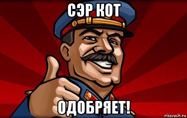 сэр кот одобряет!