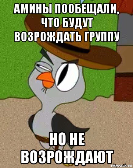 амины пообещали, что будут возрождать группу но не возрождают, Мем    Упоротая сова