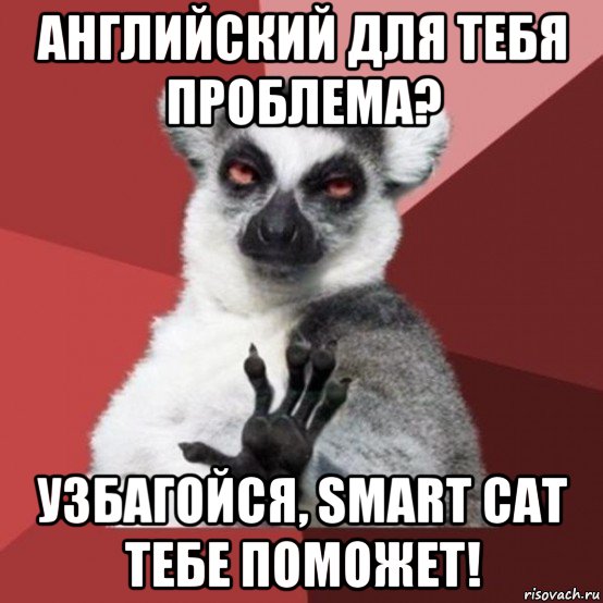 английский для тебя проблема? узбагойся, smart cat тебе поможет!, Мем Узбагойзя