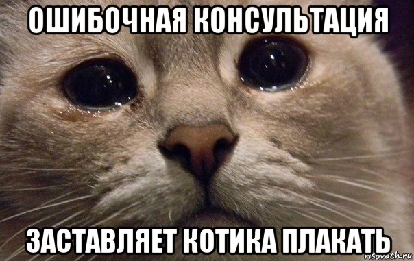 ошибочная консультация заставляет котика плакать, Мем   В мире грустит один котик