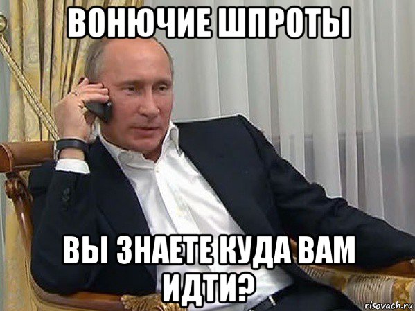 вонючие шпроты вы знаете куда вам идти?, Мем Владимир путин звонит