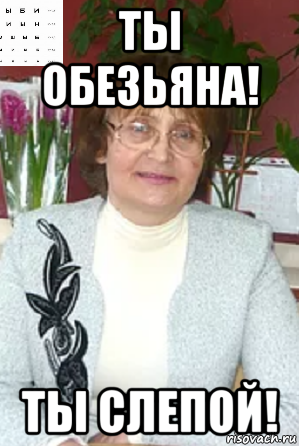 ты обезьяна! ты слепой!
