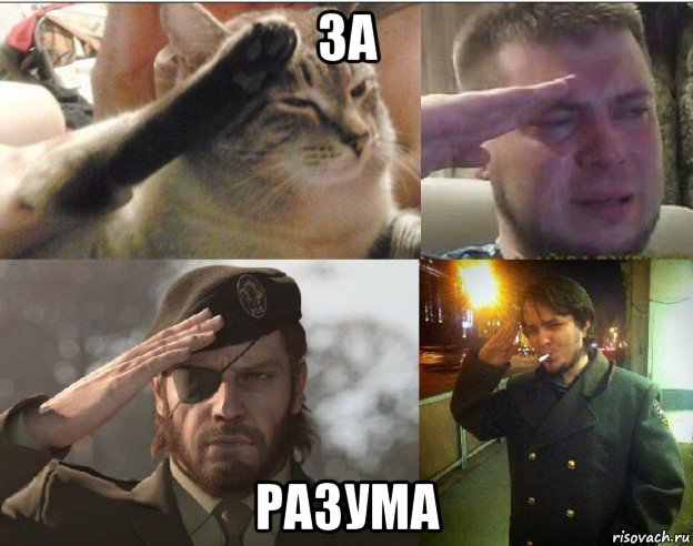 за разума