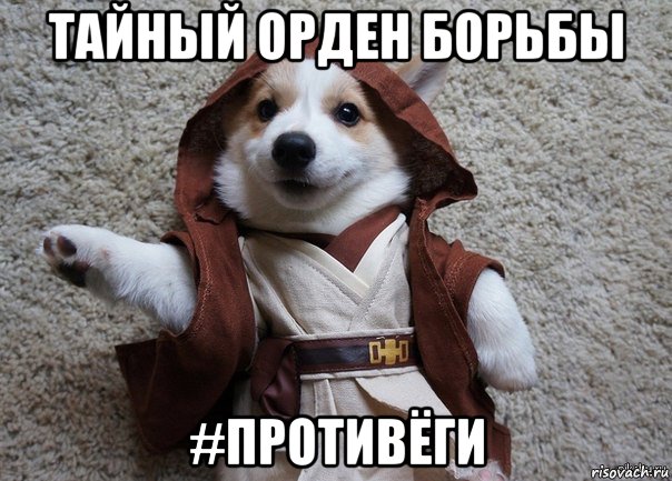 тайный орден борьбы #противёги