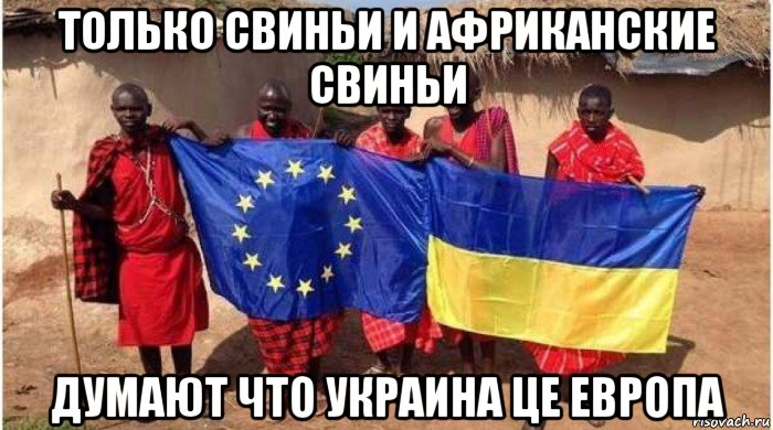 только свиньи и африканские свиньи думают что украина це европа, Мем За европу в африке