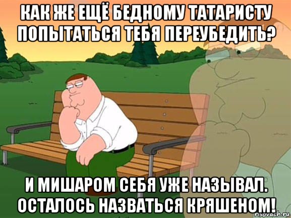 как же ещё бедному татаристу попытаться тебя переубедить? и мишаром себя уже называл. осталось назваться кряшеном!, Мем Задумчивый Гриффин