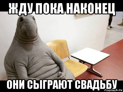 жду пока наконец они сыграют свадьбу