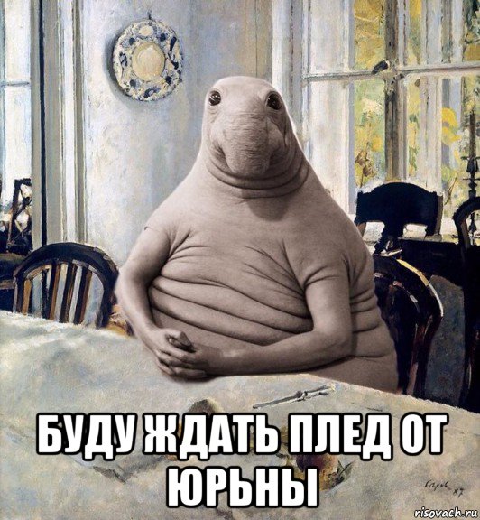  буду ждать плед от юрьны