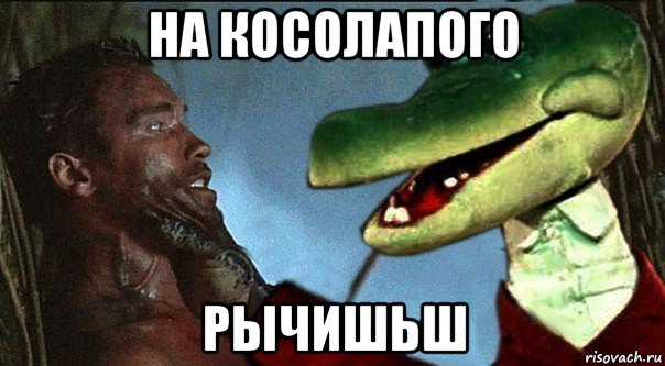 на косолапого рычишьш