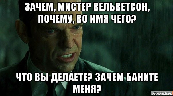 зачем, мистер вельветсон, почему, во имя чего? что вы делаете? зачем баните меня?