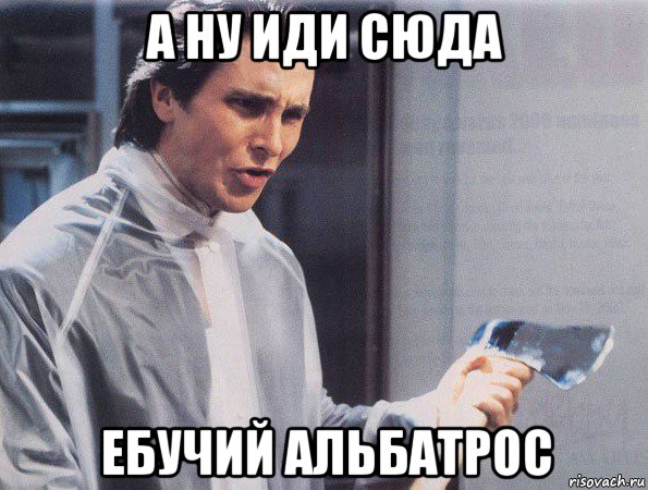 а ну иди сюда ебучий альбатрос