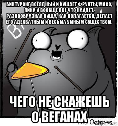 бинтуронг всеядный и кушает фрукты, мясо, яйки и вообще все что найдет. разнообразная пища, как полагается, делает его адекватным и весьма умным существом. чего не скажешь о веганах
