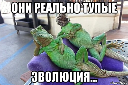 они реально тупые эволюция...