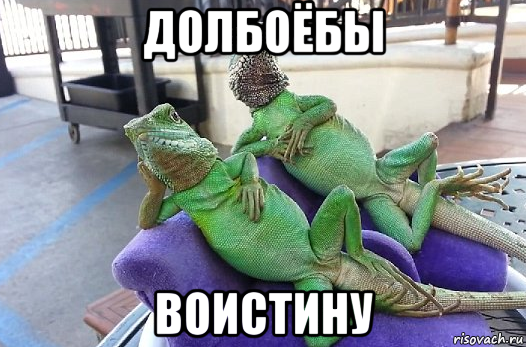 долбоёбы воистину