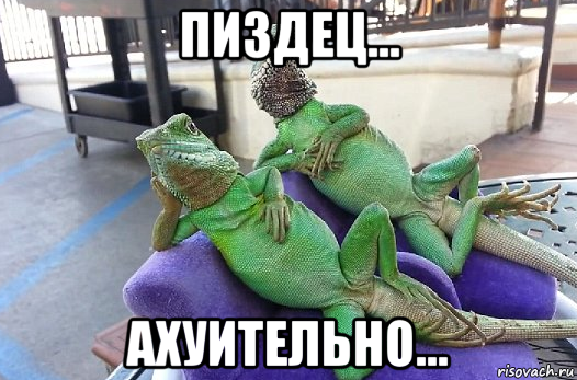 пиздец... ахуительно...