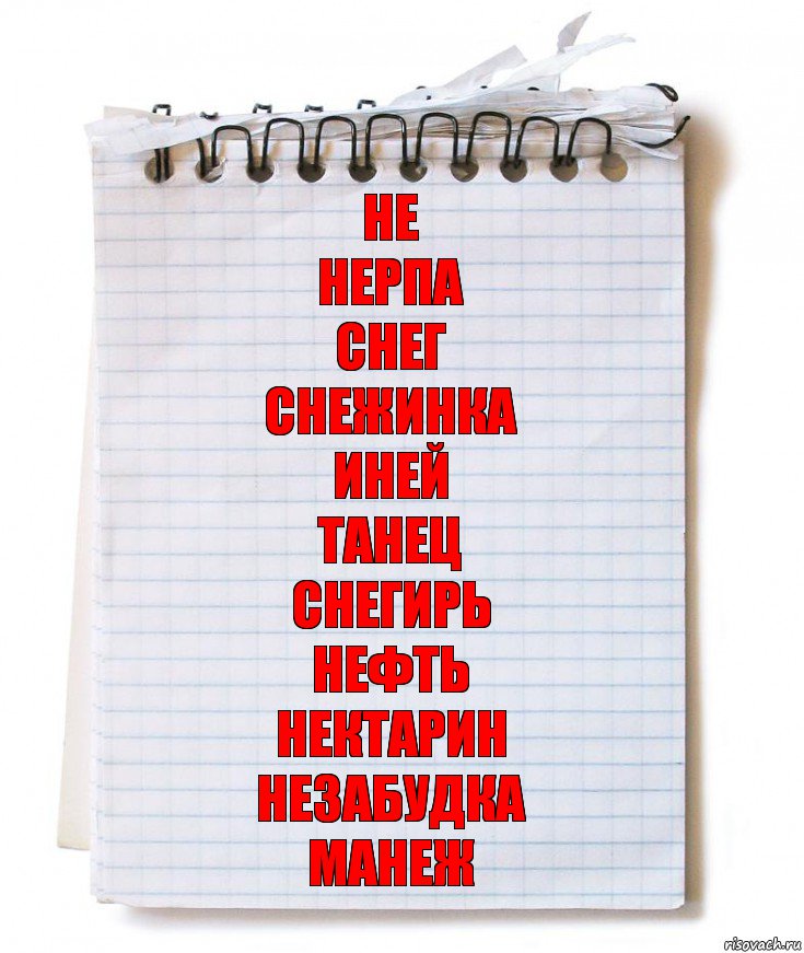 Не
Нерпа
Снег
Снежинка
Иней
Танец
Снегирь
Нефть
Нектарин
Незабудка
Манеж, Комикс   блокнот с пружинкой