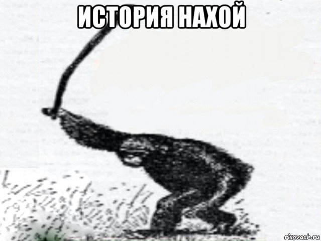 история нахой 
