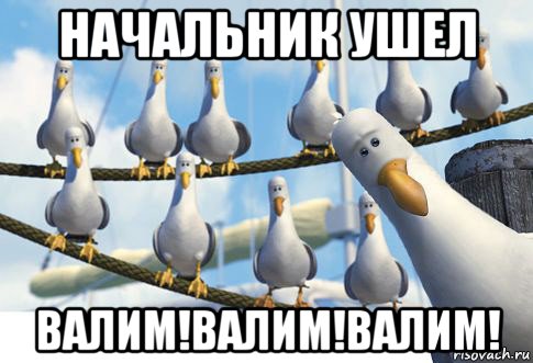 начальник ушел валим!валим!валим!