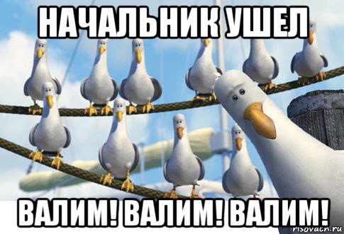 начальник ушел валим! валим! валим!
