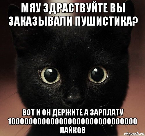 мяу здраствуйте вы заказывали пушистика? вот и он держите а зарплату 100000000000000000000000000000 лайков, Мем черный кот