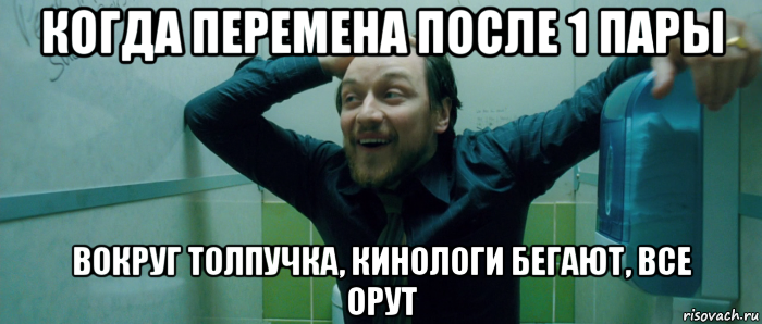 когда перемена после 1 пары вокруг толпучка, кинологи бегают, все орут, Мем  Что происходит